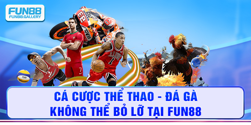 Cá cược Thể thao - Đá gà không thể bỏ lỡ tại FUN88